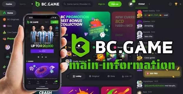 Understanding the BC.Game Login Process A Step-by-Step Guide